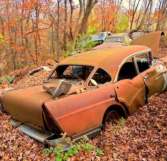 A heavily rusted, abandoned car partially submerged in fallen leaves in a forest.